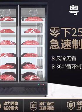 源头工厂-25℃商用深冷冷柜大容量速冻冰柜端海鲜柜立式冷冻柜