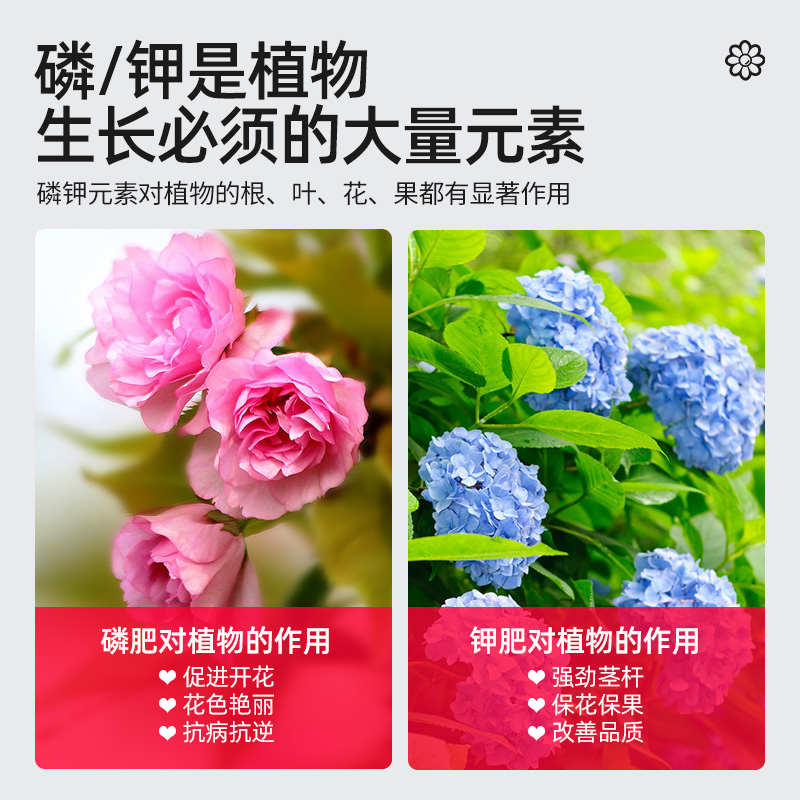 磷酸二氢钾肥料花卉专用叶面肥农用花肥料养花促花家用盆栽水溶肥