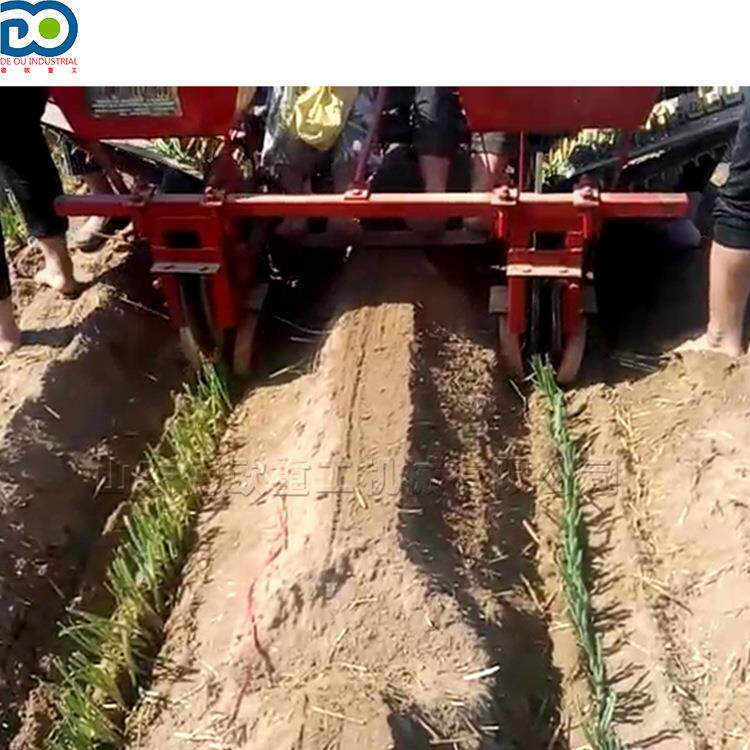 章丘大葱移栽种植机河北山东葱苗大葱移栽机单行双行后置式栽苗