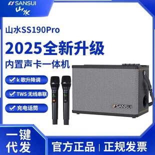 山水SS190户外k歌音响乐器音箱大功率便携式 移动声卡直播内录一体