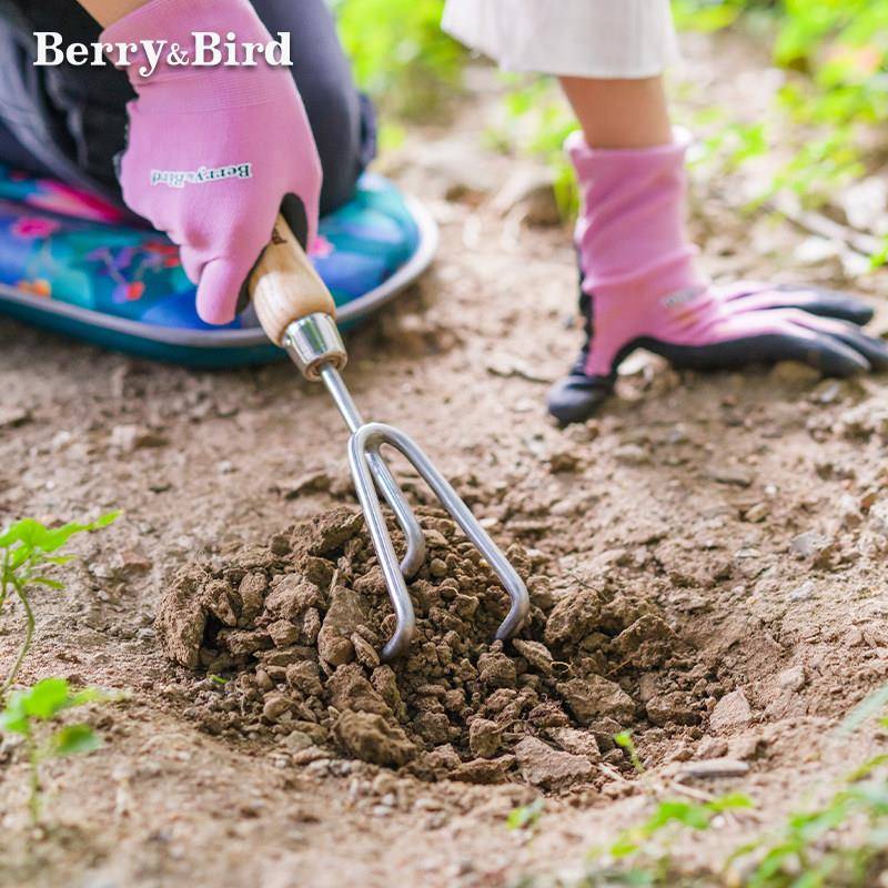 Berry&Bird园艺工具不锈钢三爪种花盆栽挖掘翻土户外花园松土耙子