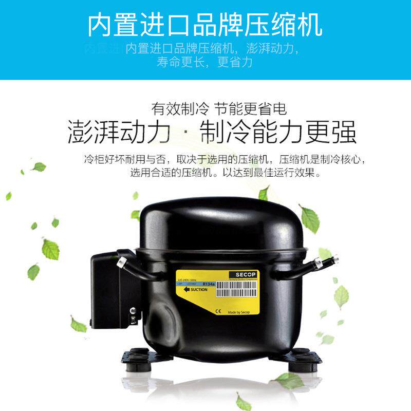 立德盛宝商用冰箱冰柜保鲜展示柜冷藏冰柜立式保鲜柜饮料柜啤酒柜