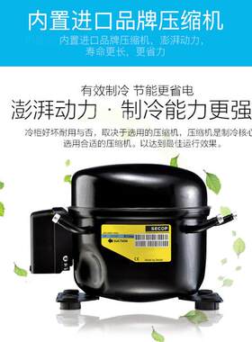 德盛宝商用冰箱冰柜保保展示柜冷藏冰柜立式鲜柜鲜饮料柜DBQ218A