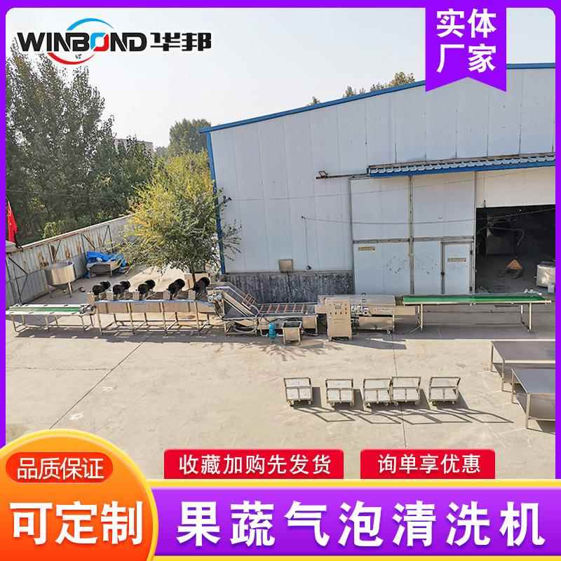 油菜菠菜气泡喷锈淋清KDT洗机 青椒辣椒多功清洗能机304不钢清 洗