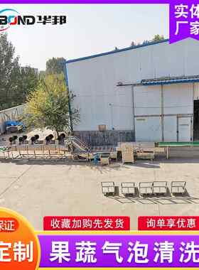菜喷淋式清洗机 心厨房净设备 不锈菜钢气泡清洗机 厂OEC蔬家中供