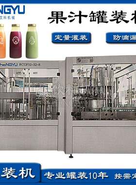 灌装机果汁罐装设备全自动冲洗罐装二合一一体机
