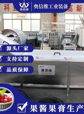 葡萄榨汁发酵加工机械 草莓渗糖浸糖熬制机器 小型红枣汁加工设备