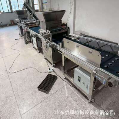 全自水动播机蔬菜花卉点流播机穴盘SKB育苗播种线针吸式滚盘筒式