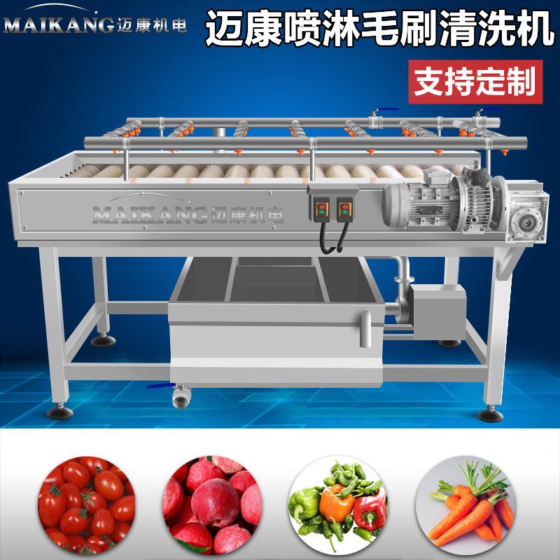 厂家现货平行毛辊清洗机全自动水果毛发去杂清洗机全自动洗果机