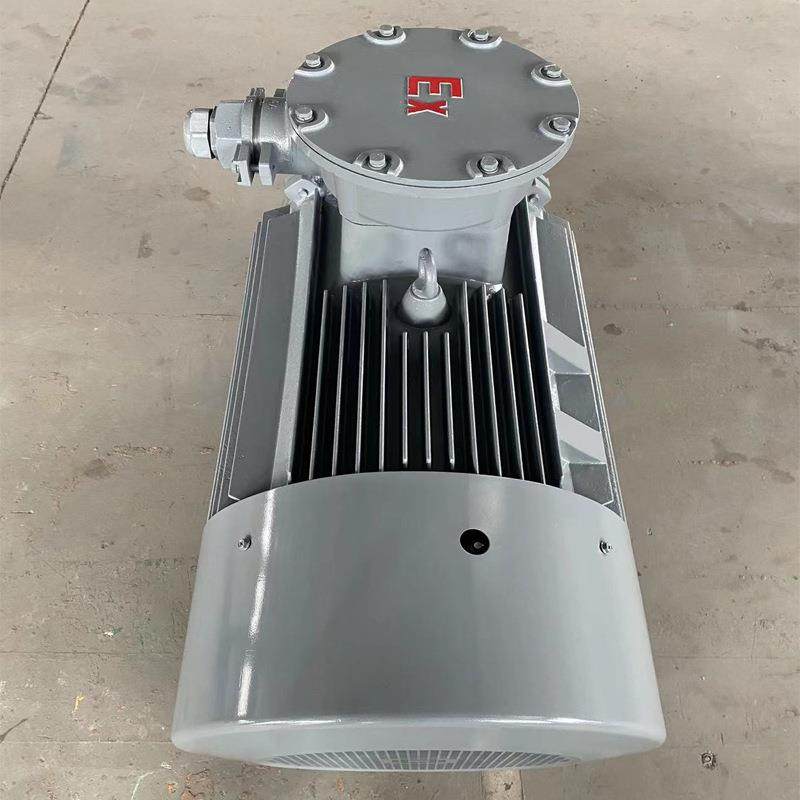 江磁机械制造生产75-132W气体粉尘爆型永磁变频电机防爆电动机