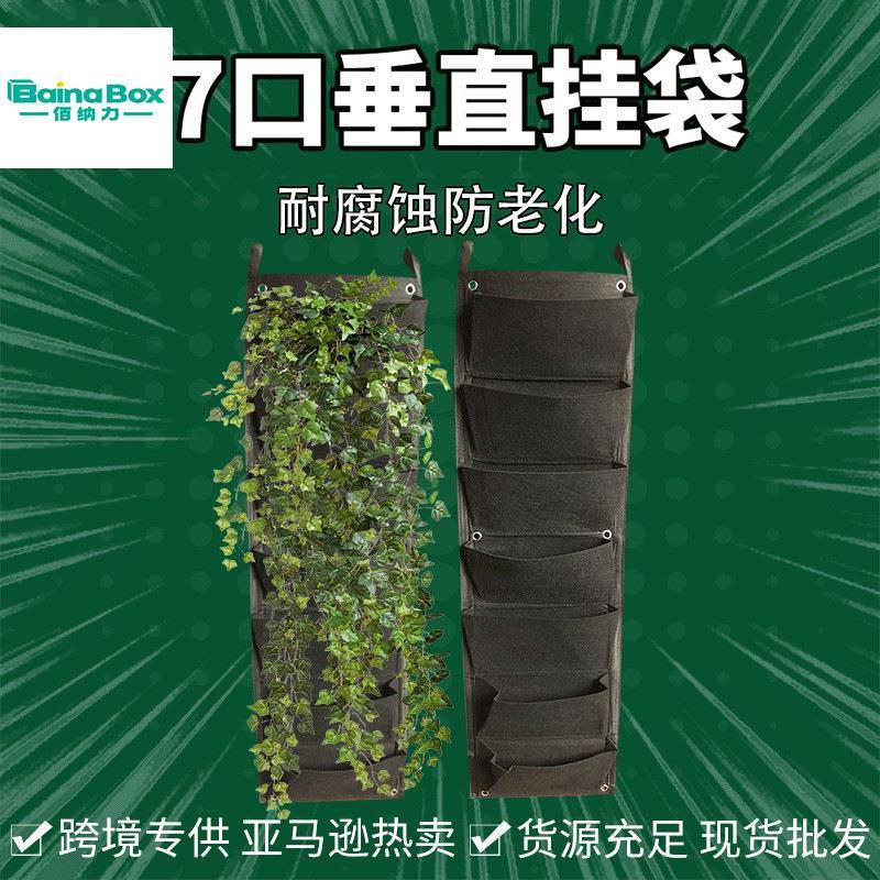 工厂源头6口垂直挂袋绿化植物墙壁挂式立体种植袋毛毡植物墙图片
