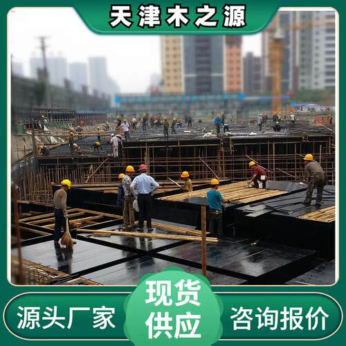 桥梁工程建筑1220*2440木模板覆膜木工板周转数高易脱模多层板