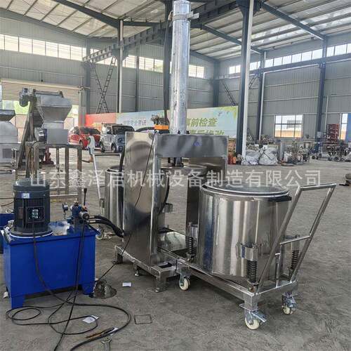 生姜脱水设备大型商用柠檬番茄冬瓜果蔬压汁机水果液压压榨机
