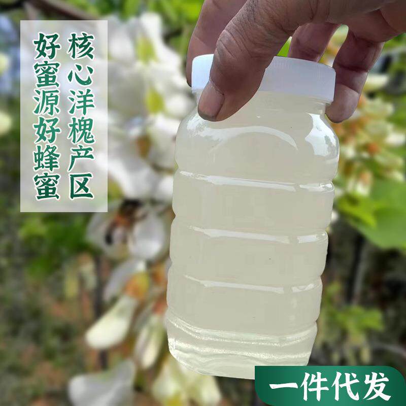 洋槐蜂蜜1000克一瓶装厂价现货农家洋槐峰蜜自产蜂蜜洋槐花蜂蜜批