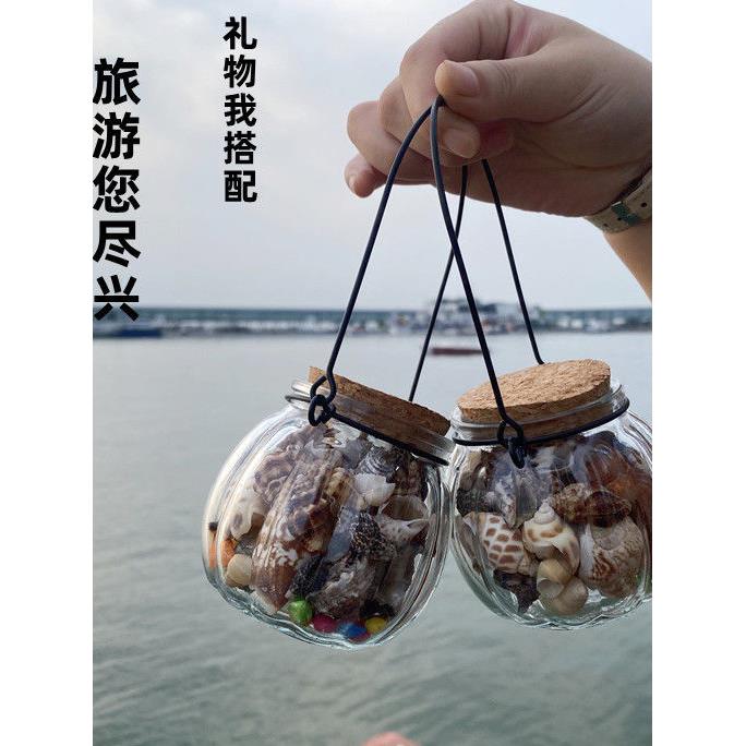 青岛海底世界旅游纪念品天然贝壳海螺海星南瓜瓶装饰装饰冰箱磁铁