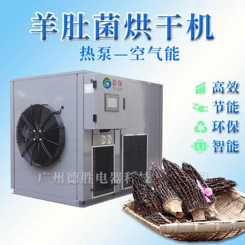 羊肚菌干燥箱羊肚菌烘干房菌类烘干设备羊肚菌烘干注意事项