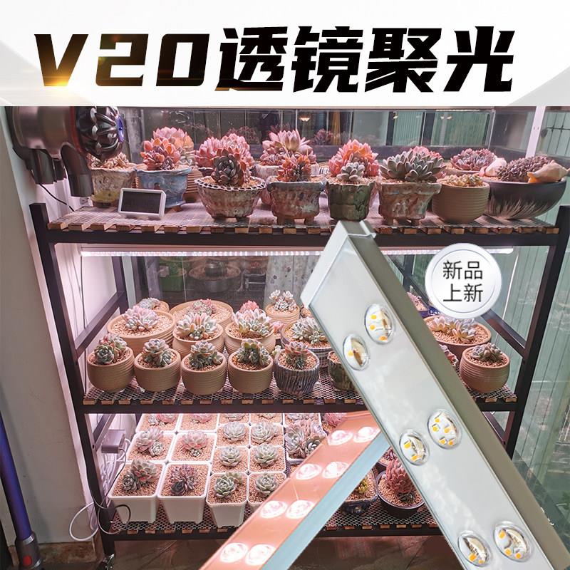 中亚多肉补光灯上色全光谱 led植物灯生长灯家用室内