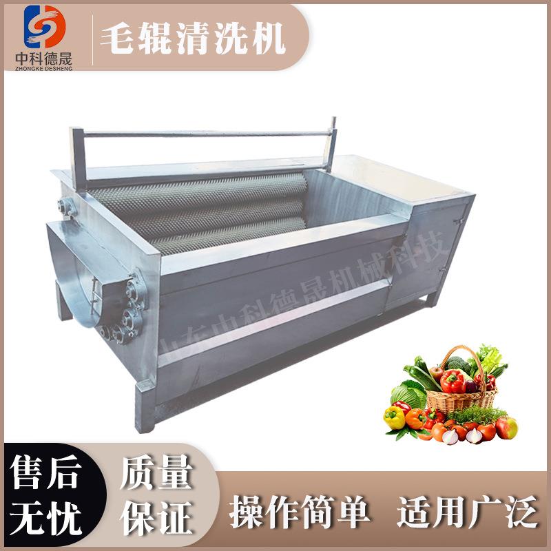中科德晟全自动毛辊清洗机厂家人参四叶参白茅根毛刷清洗设备价格