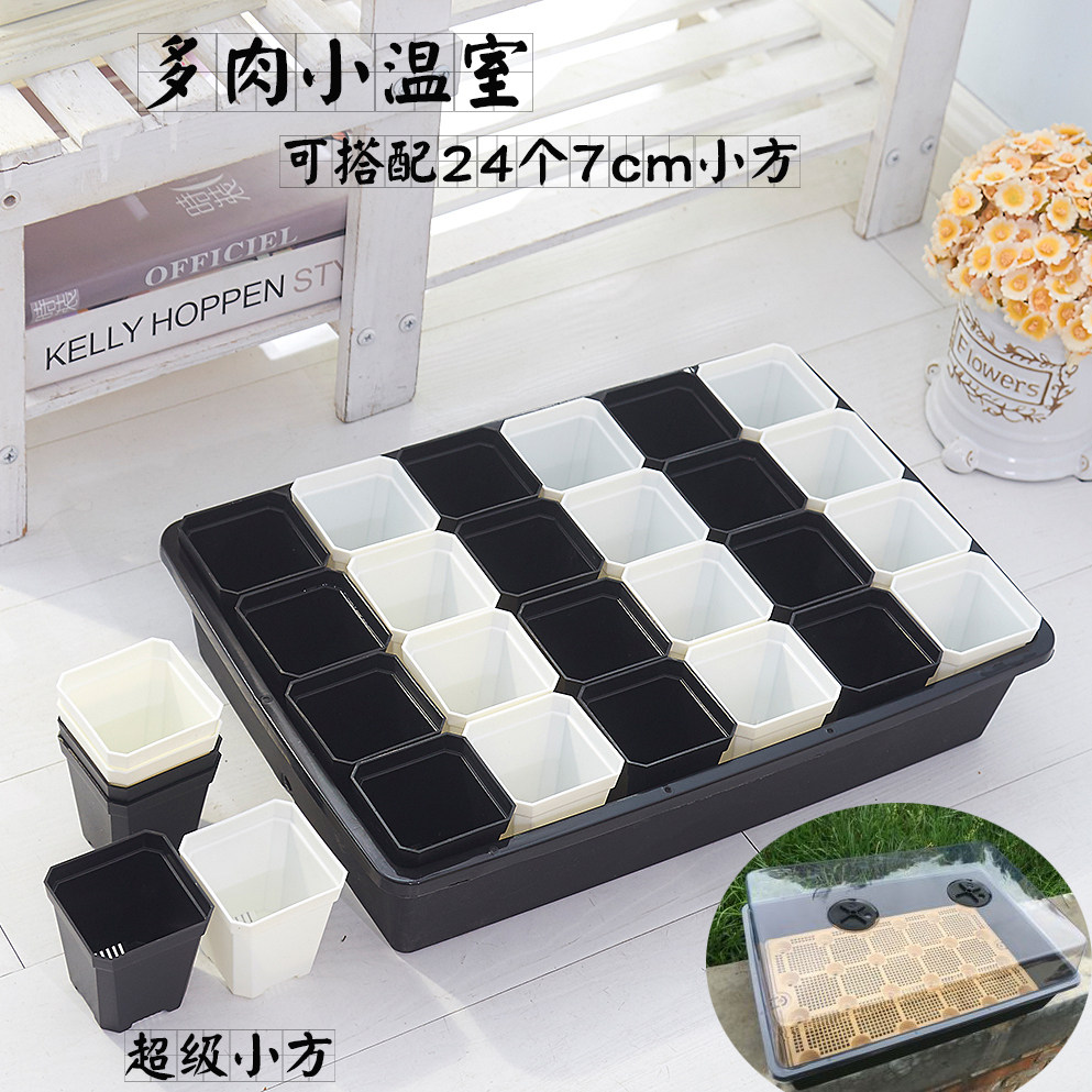 grow seedlings Germination boxes new pattern Mini greenhouse Vents Nursery box Seedling tray Exit majorin the Flower delivery/Flowers simulation/Plants gardening , Gardening supplies , Seedling tray/Nutritional bowl  category - from Buy2taobao.com to provide professional Taobao agent buy service