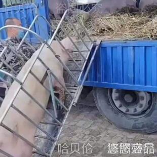 养殖称称重用运猪笼笼子猪笼母猪装猪车猪场猪笼多功能拉装猪肥猪