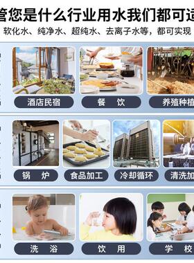 RO反渗透纯处水设备工1吨纯水机大型业水去离子水理DH-2000R设备