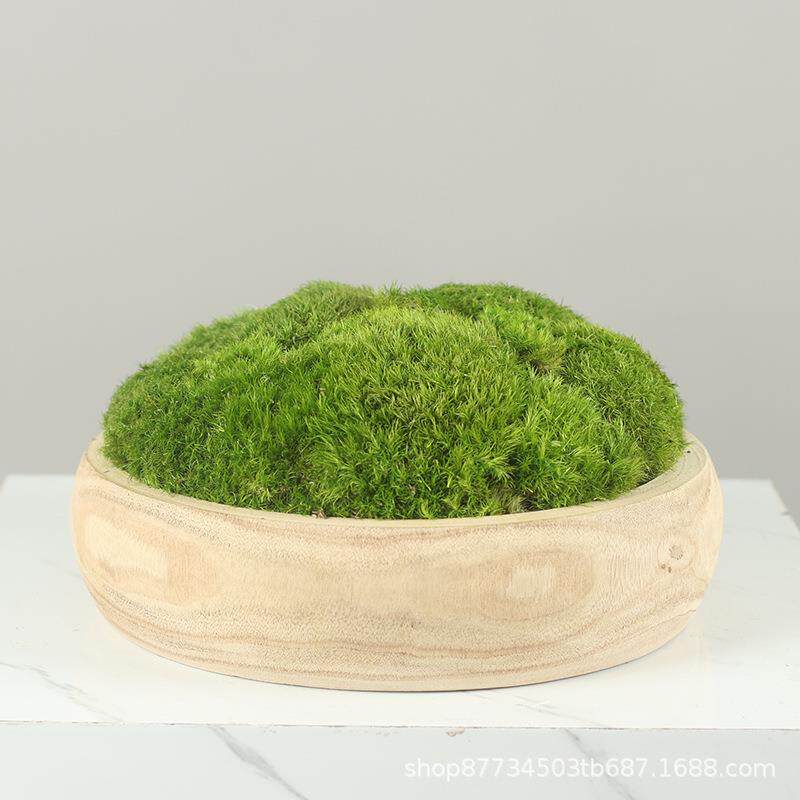 仿真花禅意盆景永生苔藓花艺绿植茶几新中式样板间盆栽洽谈桌摆件