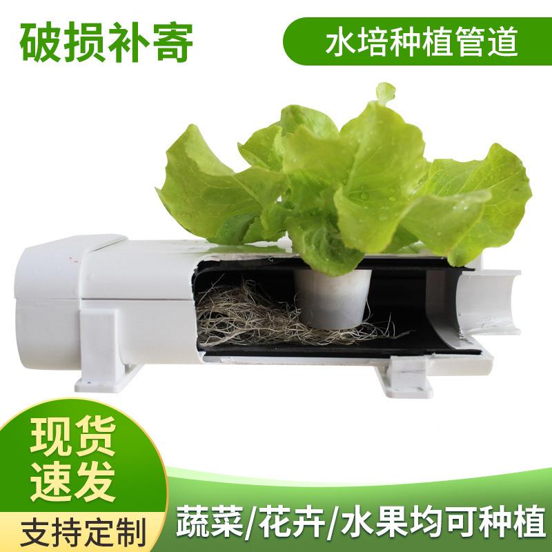 水培种植阳台种菜大棚无土栽培蔬菜设备可开盖中空水培管道100*80