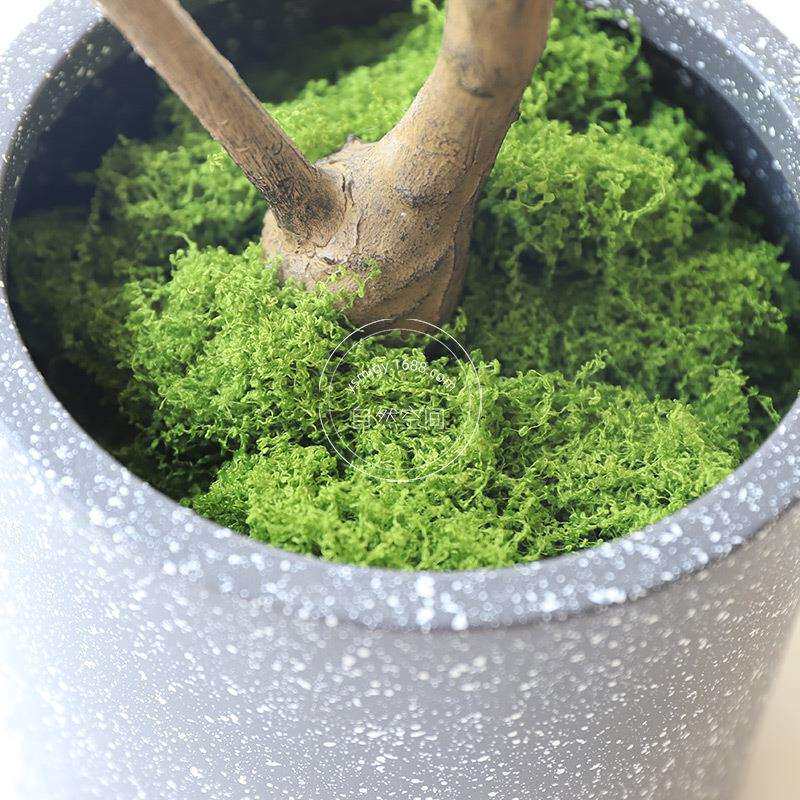 丝状苔藓草坪不易掉毛可户外使用仿真苔藓草景观装饰假苔藓装饰