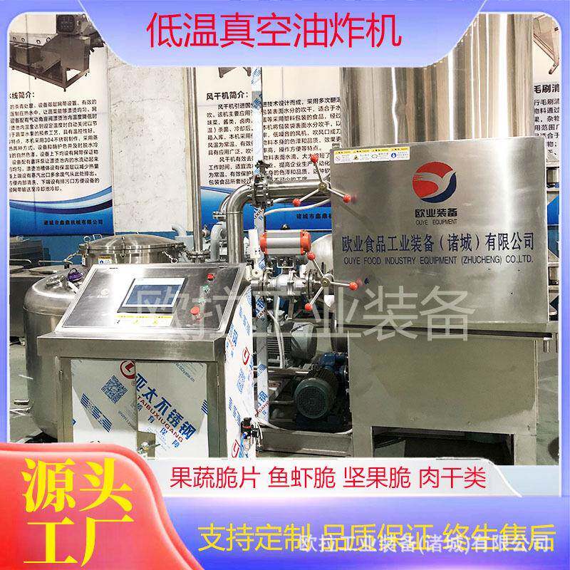 菠萝干低温油炸设备 果干蔬菜干油炸脱油一体机 真空油炸机