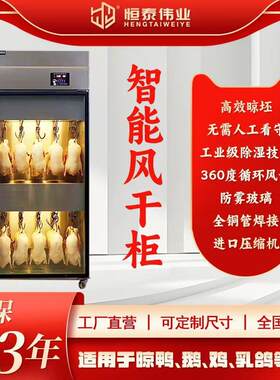 晾鸭柜商用智能烤鸭烧鹅乳鸽烧腊解冻风干柜鸭坯解冻柜展示柜