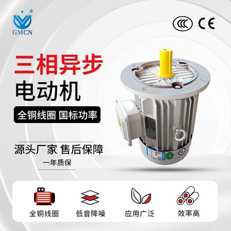三相异步电动机 YE3-112M-2极国标全铜马达 4KW IP55高速电机