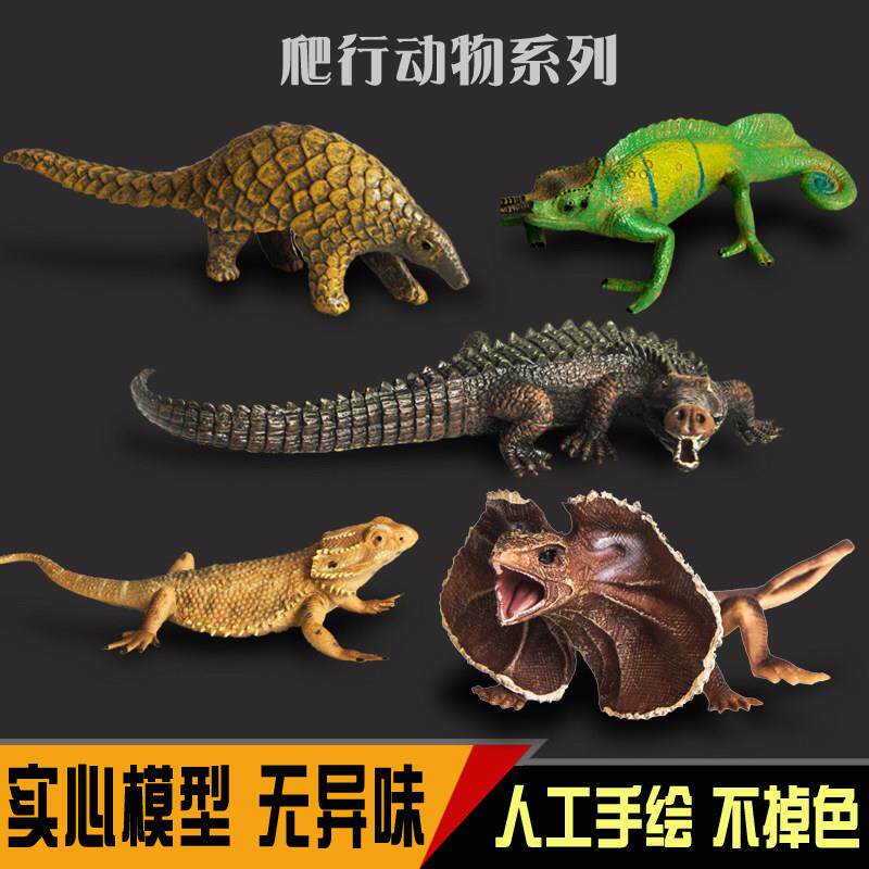 自然界爬行动物模型蛇甲鱼乌龟蜥蜴变色龙穿山甲儿童蛊惑玩具礼物