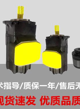 丹尼逊油泵叶片泵T6CCW0100102R01C10M液压泵T6CCW017017