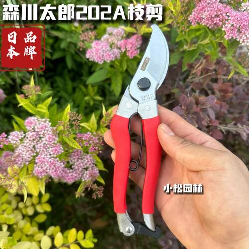 进口森川太郎修枝剪园林剪刀工具修枝剪园艺剪果树剪手枝剪正品