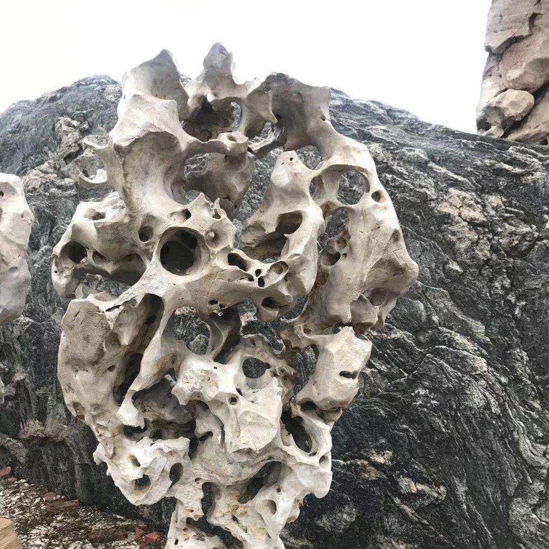 园林太湖石假山石 别墅庭院景观石风景石厂家奇形灵璧石