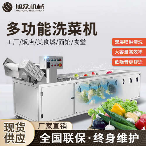 商用自动果蔬清洗机 蔬菜水果肉类净菜机 气泡冲浪自动连续清洗机