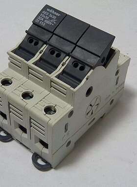 WOHNER德国AES3x3810x383极熔断器31113