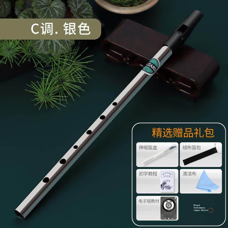 高档向爱尔兰口哨初学者入键门级六孔录机导CD键高音音直笛锡笛演