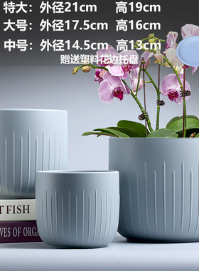 蝴蝶兰亚马逊批发直销陶瓷花瓶