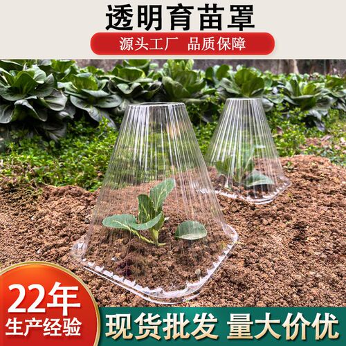 Vegetable Plant Cover for Seedlings, Saplings, and Seedbeds