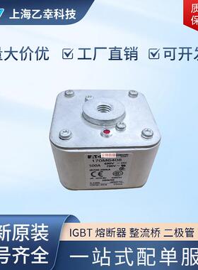 巴斯曼熔断器 170M6408 170M6409 170M6410 170M6411 170M6412
