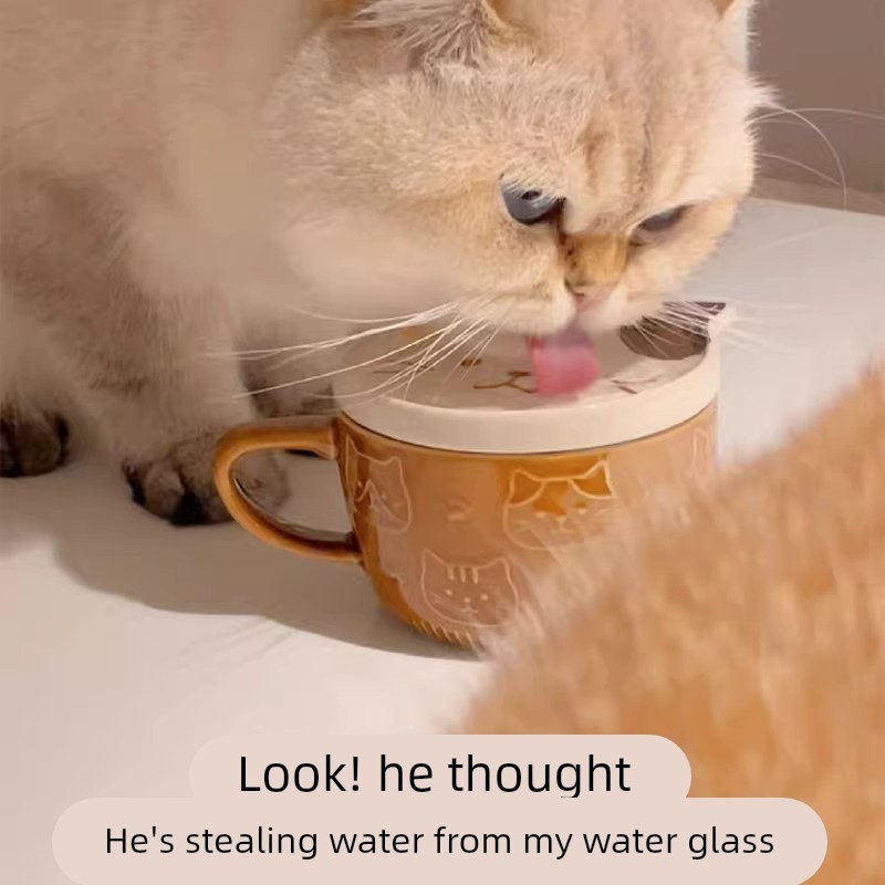 猫碗陶瓷猫咪大口径喝水水杯马克杯保护颈椎防黑下巴猫咪骗水神器