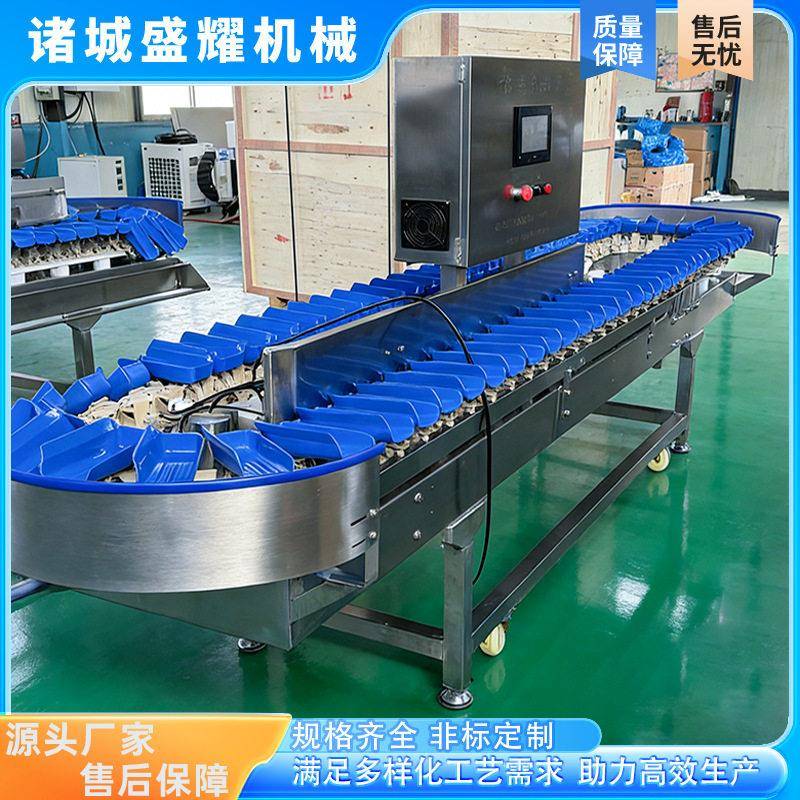笔管鱼重量分选机 鲳鱼大小克重分级机 花胶鱼胶小克重分拣机盛耀