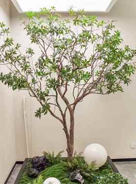 仿树假树造景真tb-74218物室内橱窗服装店植绿植景观布饭厅植物置