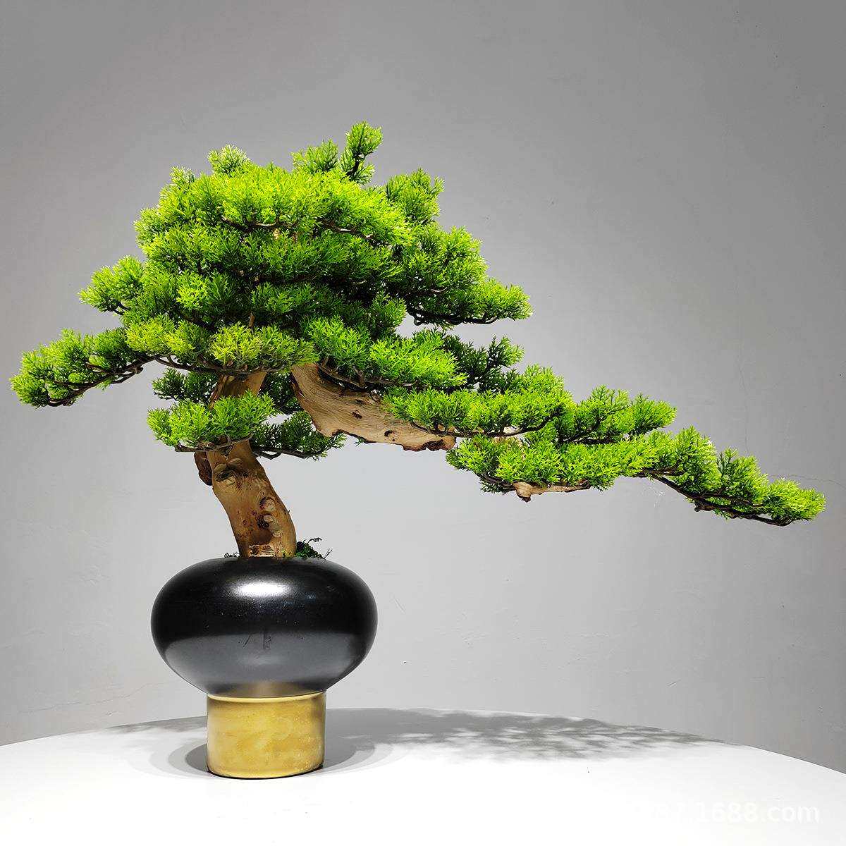 新中式迎客松盆景客厅玄关摆件茶室禅意茶几玄关家居售楼处装饰品