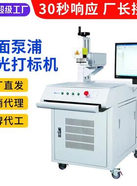 保险丝全自动镭雕打标机塑胶壳小字符自动化端面泵浦激光打码机