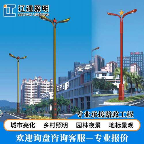 LED市电路灯8-12m户外防水市政道路照明杆灯双臂路灯