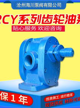 2CY系列高压齿轮泵小型铸铁卧式2CY3m3/h燃油增压齿轮泵输送泵