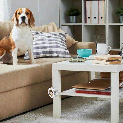 Dog Agility Training Equipment + Soft Magnetic Adhesive