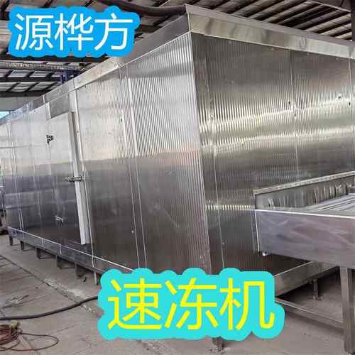 薯条速冻机香菇素包冷冻加工设备海鲜冷冻机